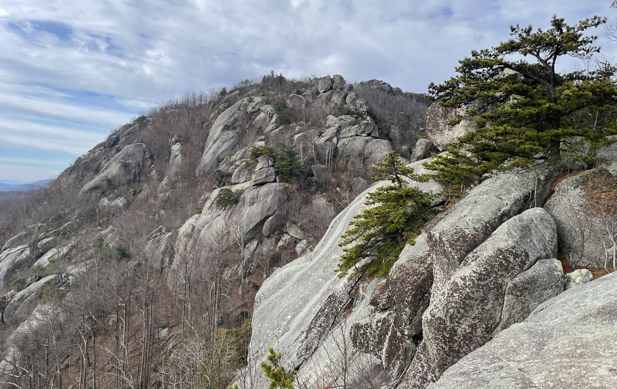 Conway Robinson State Park